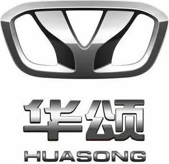 Huasong logo