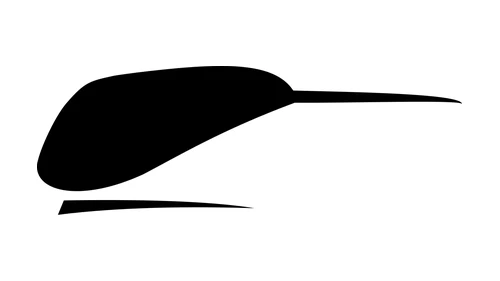 McLaren symbol from 1971: the Speedy Kiwi, a sleek forward-leaning black kiwi silhouette